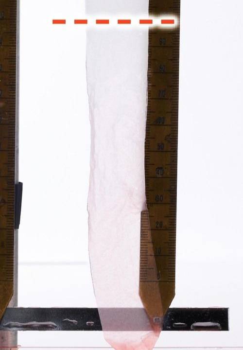 吸水性：◎+ トイレットペーパーおすすめ イメージ