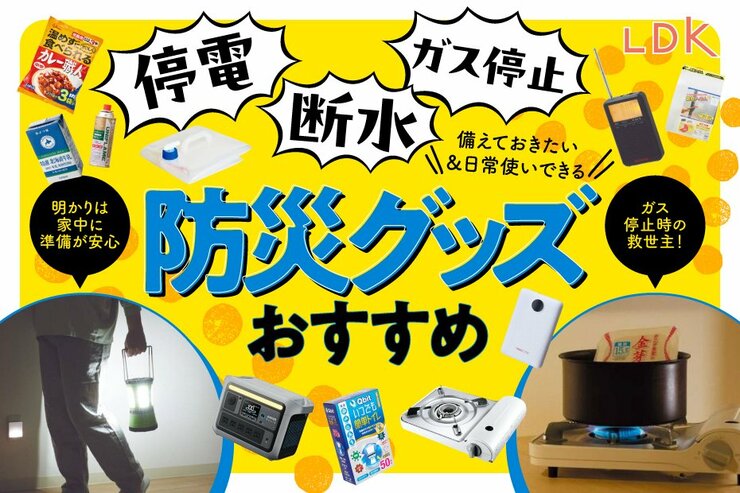 【LDK公式】防災グッズのおすすめ30選。備えておきたいアイテムや活用法を防災士と紹介【2024年】