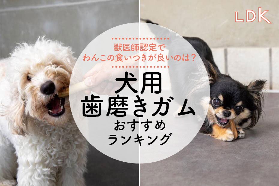 ウィムズィーズスティック2袋&ハブラシ2袋 見にくく ウィムズィーズスティック2袋&ハブラシ2袋 見にくく