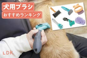 犬用ブラシのおすすめランキング。LDKが抜け毛がよく取れるかどうか人気商品を比較