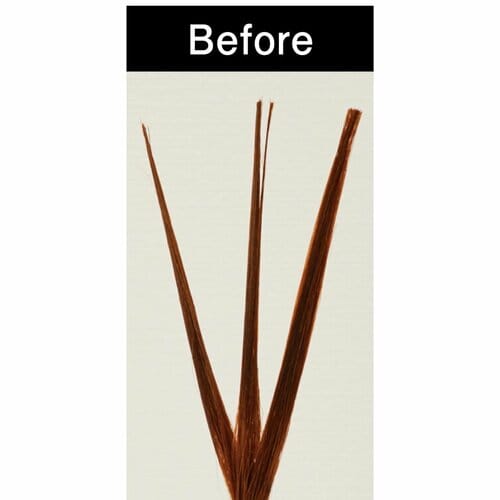 湿気に強いから汗っかきさんもOK LDK the Beauty Menメンズコスメ大賞2025おすすめ イメージ