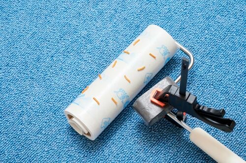 ゴミを取るだけじゃない!防ダニ効果がポイントのシート 粘着クリーナーおすすめ イメージ