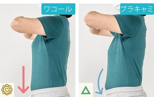 Tシャツを上から着てもキレイ!
