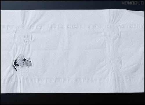 【湿潤摩擦強度】水に濡れても比較的破れにくい! トイレットペーパーおすすめ イメージ2