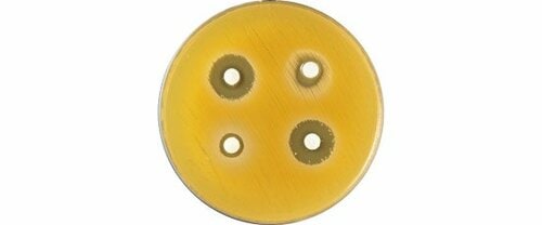 【テスト②除菌力】専門機関で菌を培養し、除去効果をチェック イメージ3