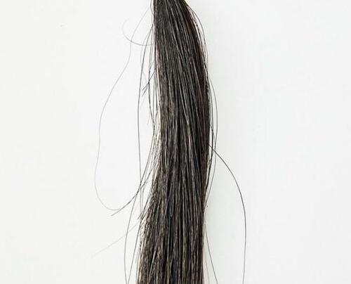 保湿成分や植物油をたっぷり配合している「DHC」 カラートリートメントおすすめ イメージ2