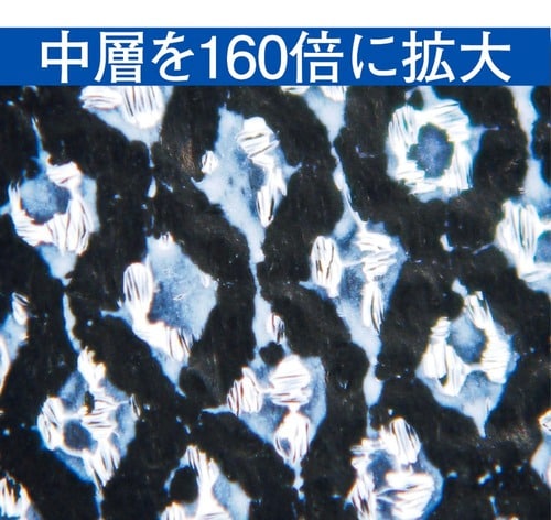 中層を160倍に拡大 折りたたみ傘おすすめ イメージ