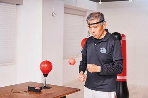 C評価: KATOOM「パンチングボール」 イメージ