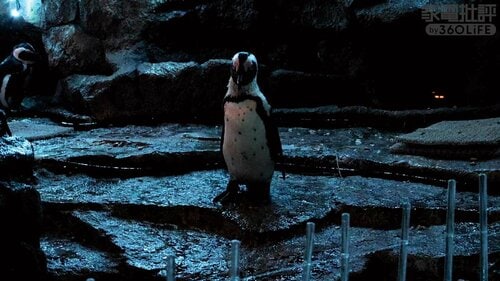 PowerShot V1(1/4型センサー) 家電批評ベストバイオブザイヤーおすすめ イメージ