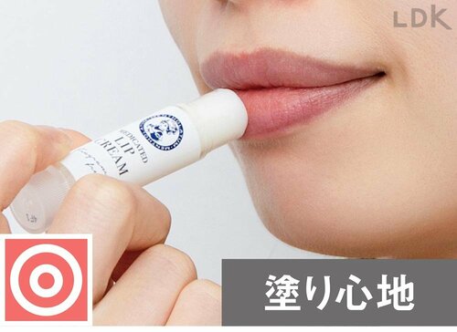 塗り心地 リップクリームおすすめ イメージ