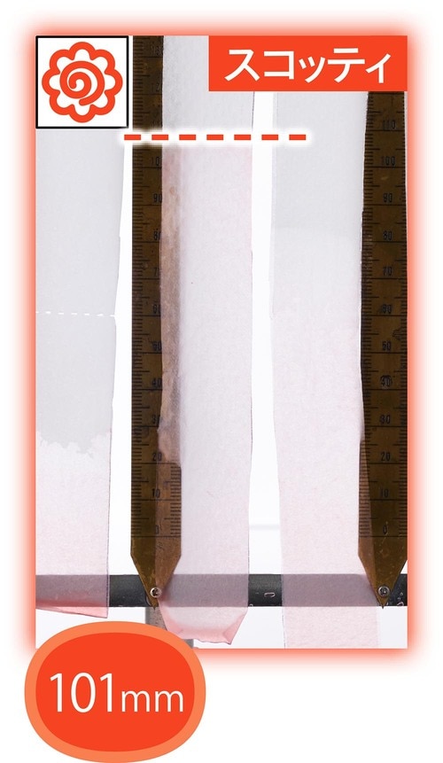 吸水性：◎+ トイレットペーパーおすすめ イメージ