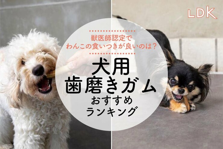 犬用歯磨きガムのおすすめランキング12選。LDKが市販の人気商品を比較