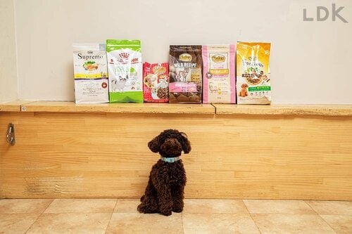 超小型犬用フード ドッグフードおすすめ イメージ