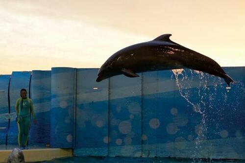 アドビ「Lightroom」使用3