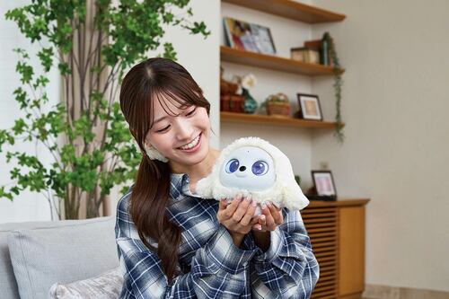 癒やされたり、会話を楽しむためのロボットです ペットロボットおすすめ イメージ2