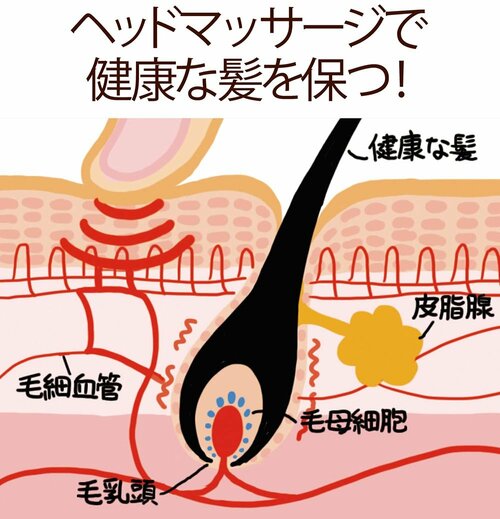 ヘッドマッサージで健康な髪を保つ! イメージ