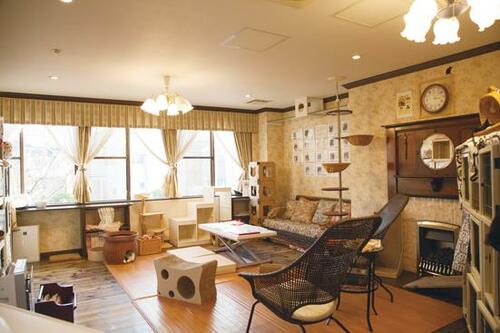 ネコの熱中症に注意！ 気軽に水が飲める環境づくりを イメージ2