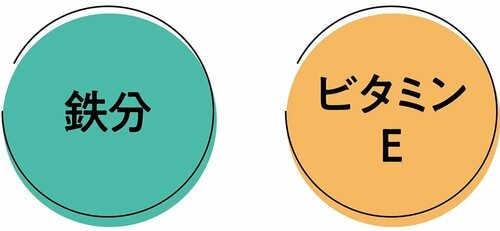 美容に欠かせない成分が豊富 プロテインドリンクおすすめ イメージ