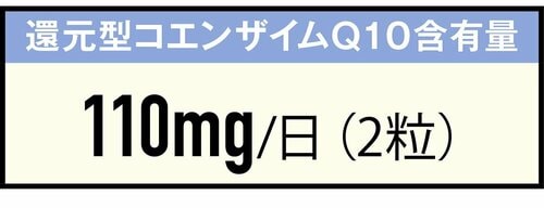 成分：Q10以外の成分も充実 コエンザイムQ10サプリおすすめ イメージ