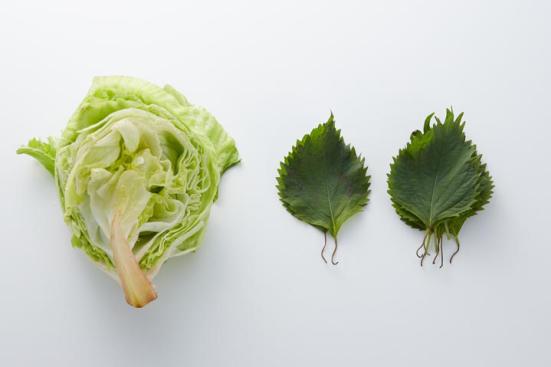食品の鮮度を保持する野菜の救世主です!