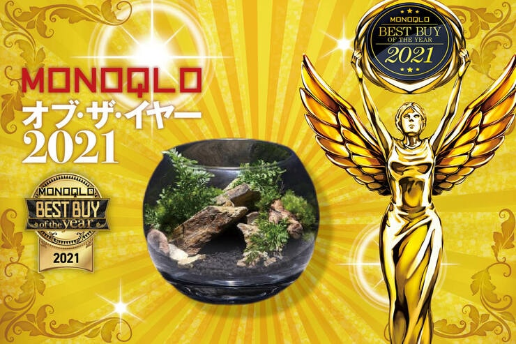 【2021ベスト】15分で癒しの箱庭が作れる！ コケリウム「コケリウムキット 森の洞窟 ミニ」｜MONOQLO オブ・ザ・イヤーのイメージ