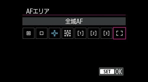 おすすめ3:全域AFでカメラ任せにできるスナップ撮影 イメージ