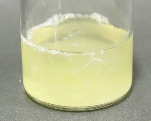 【B評価】気にならない濁り チャーミーVクイック イメージ