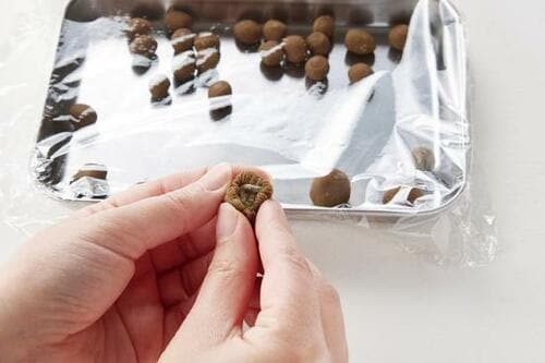 子どもと一緒に楽しむ「手づくりタピオカドリンク」 イメージ3