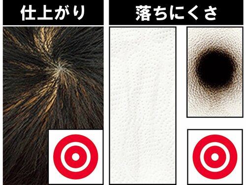 全体の評価はピノーレに近い結果 増毛スプレーおすすめ イメージ