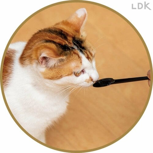 ネコウケも今ひとつ 猫用歯磨き粉おすすめ イメージ