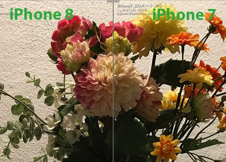 「進化していません」iPhone8のカメラにプロがそう断言した理由<br />