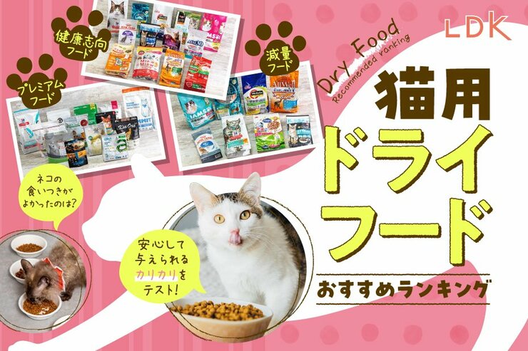 【LDK公式】猫用ドライフードのおすすめランキング。ペット栄養管理士と市販のカリカリを比較