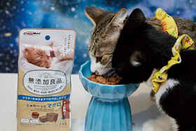 猫ちゃん夢中&ヘルシー！ 猫用半生おやつのおすすめは「じゅわ～っとマグロ」。LDKが6製品を比較