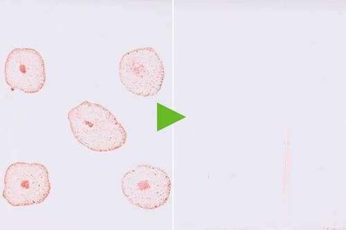 テスト1：汚れ落ち 流せるトイレクリーナーおすすめ イメージ