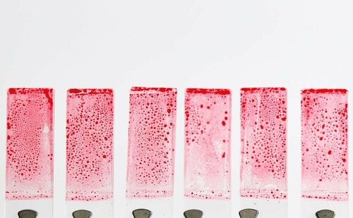 テスト結果 食器用洗剤おすすめ イメージ