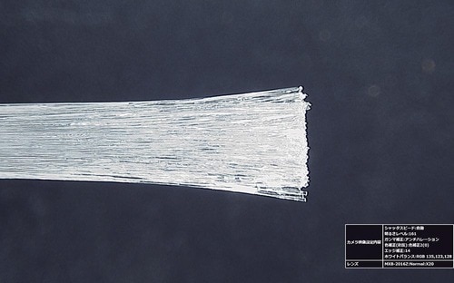 プラスチック用接着剤おすすめ タミヤ タミヤセメント （角びん） イメージ2