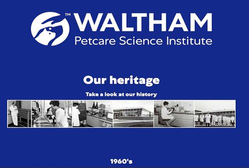 厳しい栄養基準を満たしたフード 猫用ドライフードおすすめ イメージ