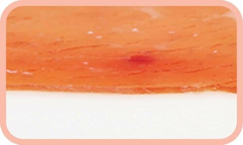 生ハムおすすめ コダマ トーレ・デ・ヌニエズ ハモンセラーノ イメージ2