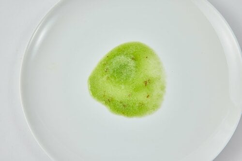 ボトルをしっかり固定できる ハンドブレンダーおすすめ イメージ2