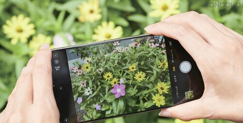 カメラの立ち上がりが高速! 画質もキレイです Apple「iPhone 16」おすすめ イメージ2