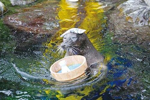 5位: 日本で一番標高が高い海水水族館「箱根園水族館」