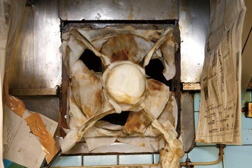【検証2】120分の死闘の結末老舗居酒屋の換気扇が輝く