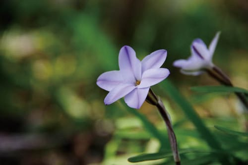 スタンダード一眼レフのBESTはU10万円で防塵防滴のペンタックス！ イメージ3