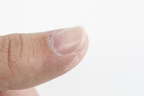 期待を込めてテストしましたが…結果はまさかの全滅! イメージ