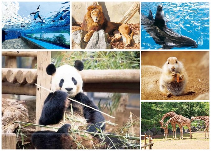 年 関東地方の動物園 水族館おすすめランキング28選 デートや家族で行きたい人気スポットを紹介 360life サンロクマル