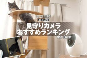 見守りカメラのおすすめランキング。ペットのお留守番姿を追尾＆通知する製品を比較