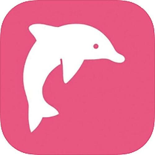 医学生も使ってる「イルカの暗記シート」 イメージ