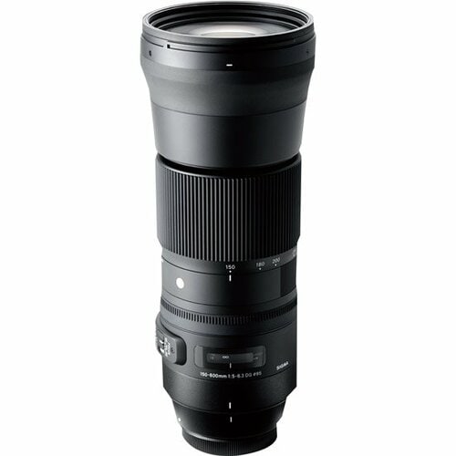 シグマ:150-600mm F5-6.3 DG OS HSM | Contemporary:交換レンズ