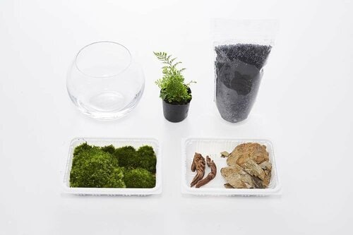 手軽に作って育てられる！ コケリウム「コケリウムキット森の洞窟 ミニ」 イメージ