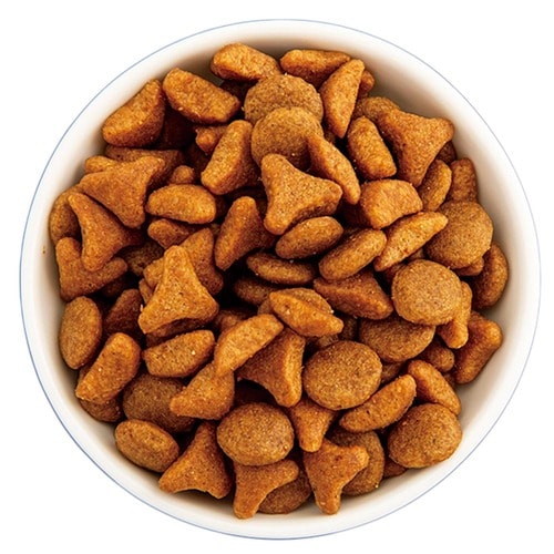 猫用ドライフードおすすめ ロイヤルカナン セイバーエクシジェント イメージ2